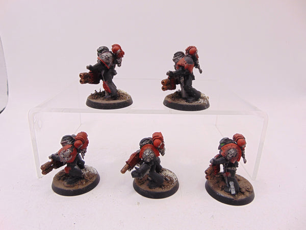 Sternguard Veterans