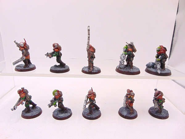 Neophyte Hybrids