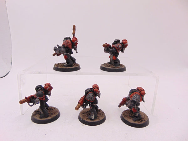 Sternguard Veterans