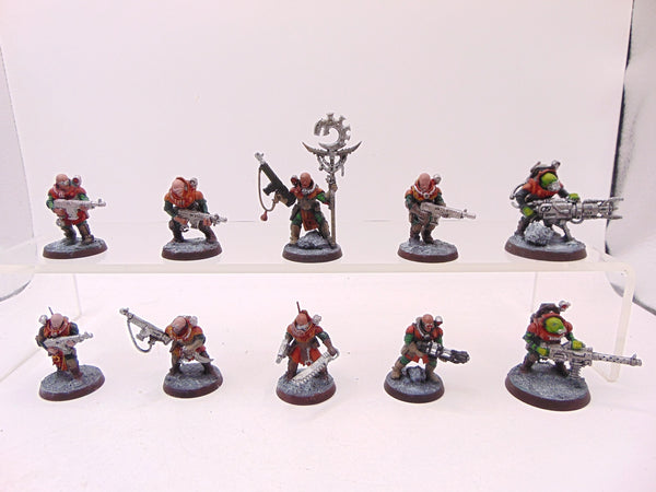 Neophyte Hybrids