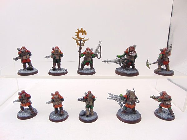 Neophyte Hybrids