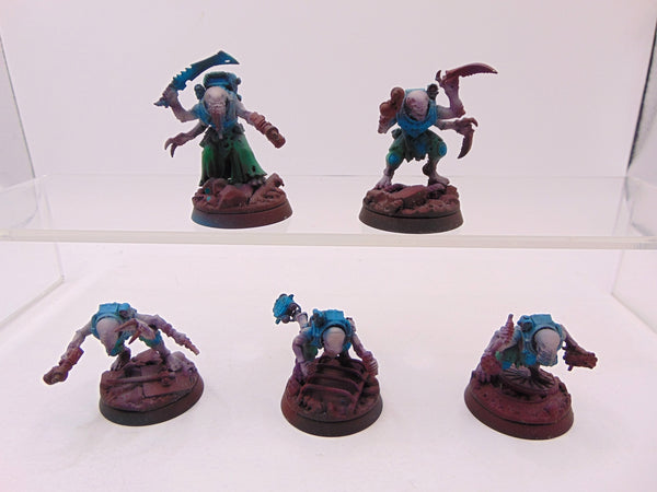 Acolyte Hybrids