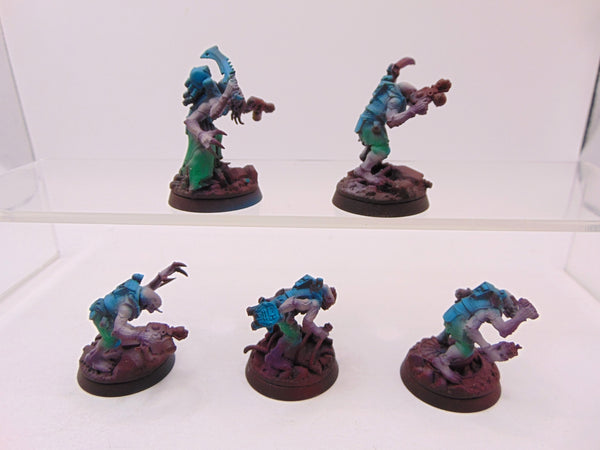 Acolyte Hybrids