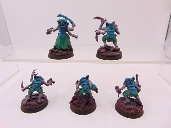 Acolyte Hybrids