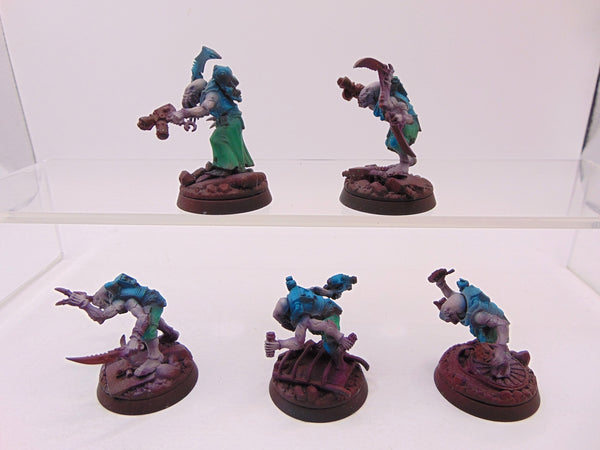 Acolyte Hybrids
