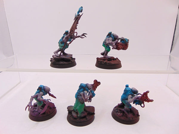 Acolyte Hybrids
