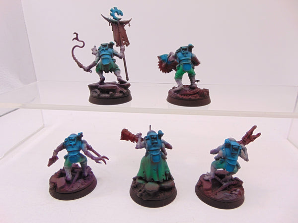 Acolyte Hybrids