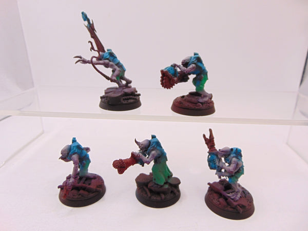 Acolyte Hybrids