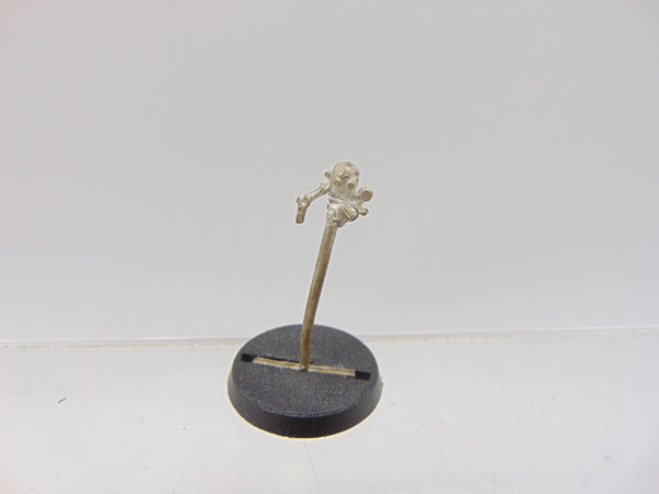 Servo Skull