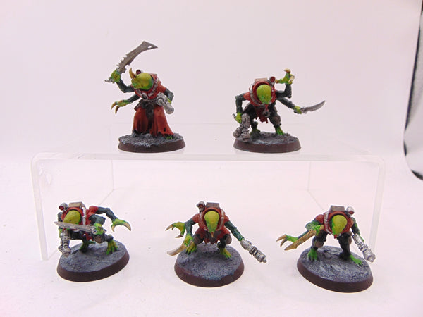 Acolyte Hybrids