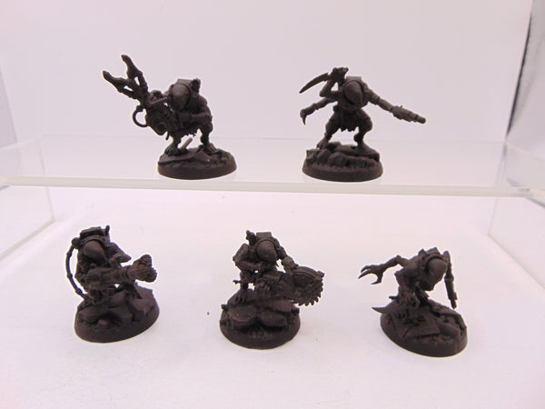 Acolyte Hybrids