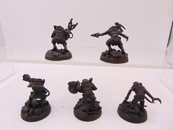 Acolyte Hybrids