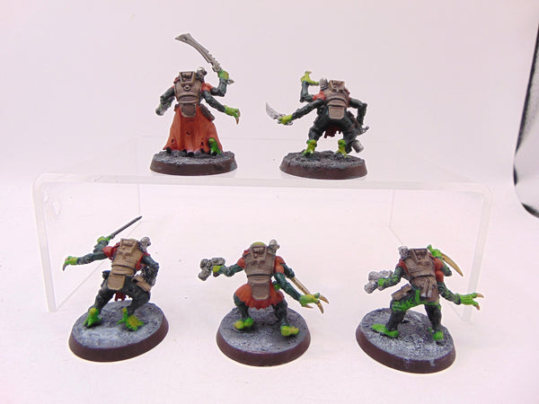 Acolyte Hybrids