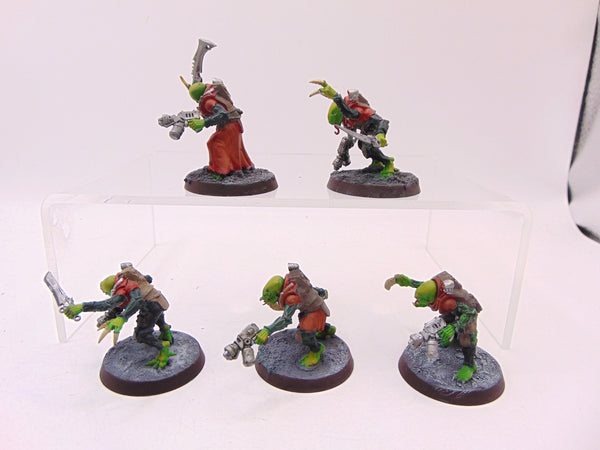 Acolyte Hybrids