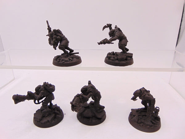 Acolyte Hybrids