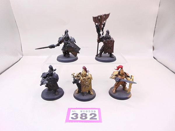 Custodian Guard