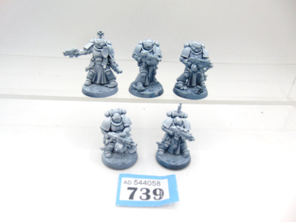 Sternguard Veterans