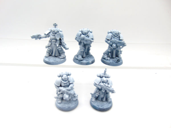 Sternguard Veterans
