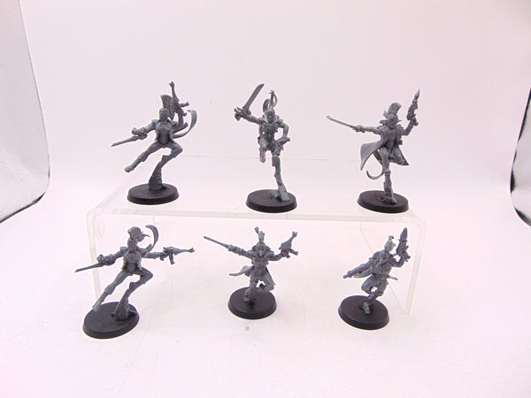 Harlequin Troupe