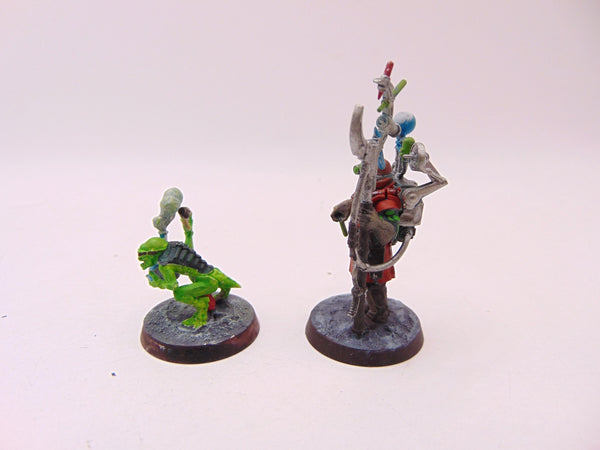 Biophagus