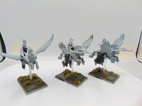 Pegasus Knights