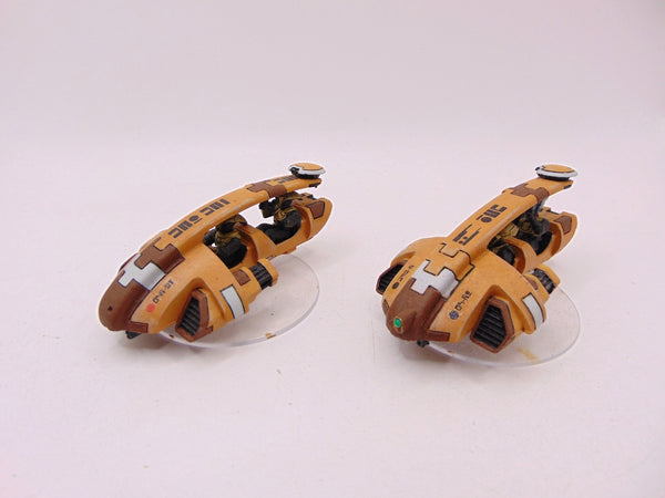 Tetras