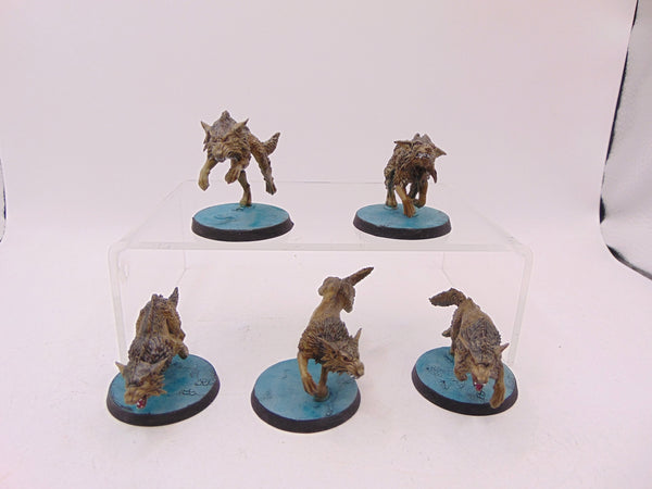 Fenrisian Wolves