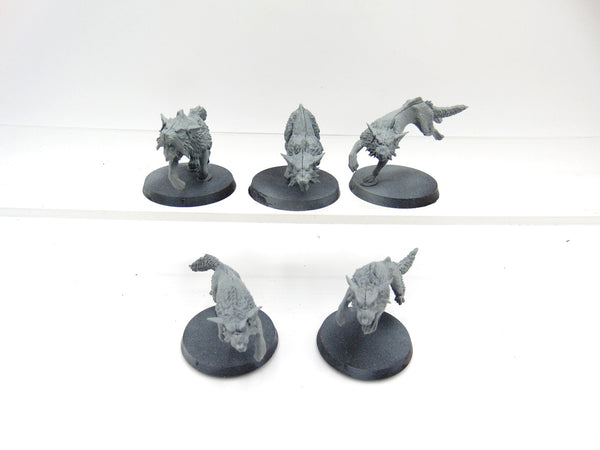 Fenrisian Wolves