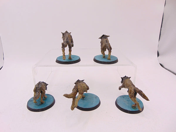 Fenrisian Wolves
