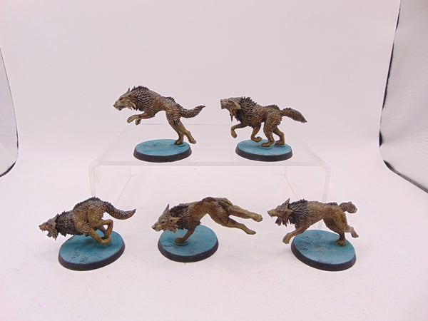 Fenrisian Wolves