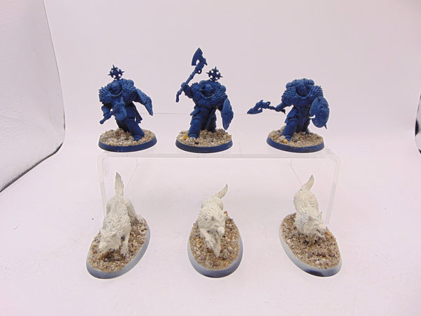 Wolf Guard Headtakers