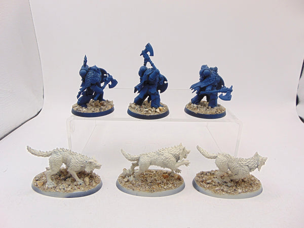 Wolf Guard Headtakers