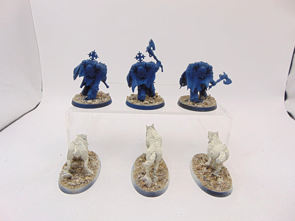 Wolf Guard Headtakers