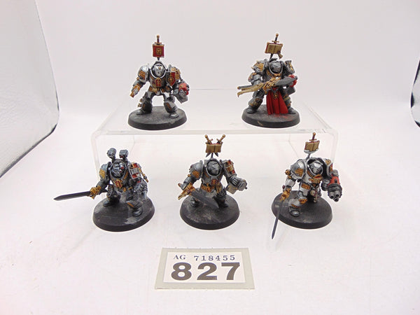 Brotherhood Terminator Squad