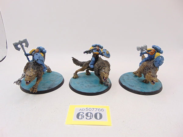 Thunderwolf Cavalry