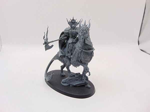 Lord Vigilant on Gryph Stalker