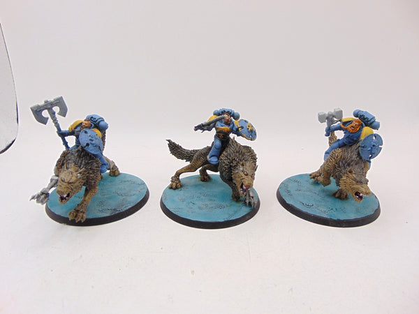 Thunderwolf Cavalry
