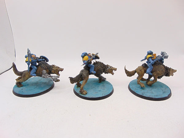 Thunderwolf Cavalry