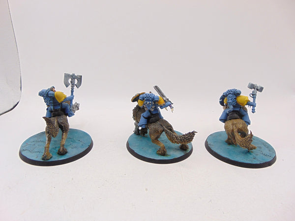 Thunderwolf Cavalry