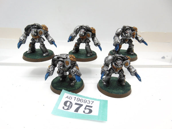 Terminator Assault Squad