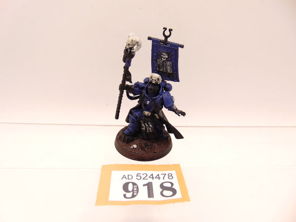 Chief Librarian Tigurius