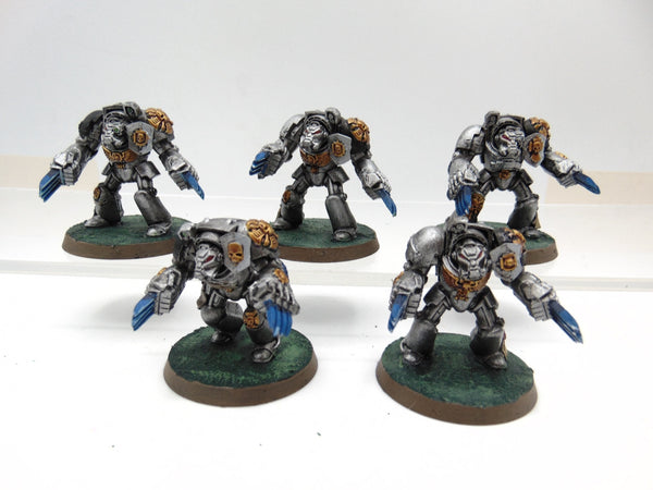 Terminator Assault Squad