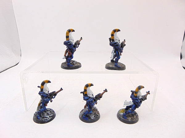 Dire Avengers