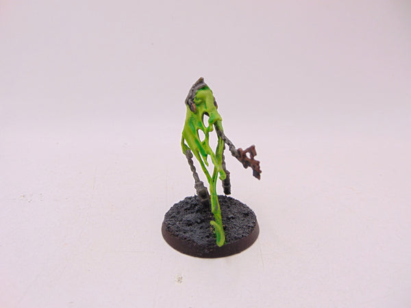 Spirit Torment
