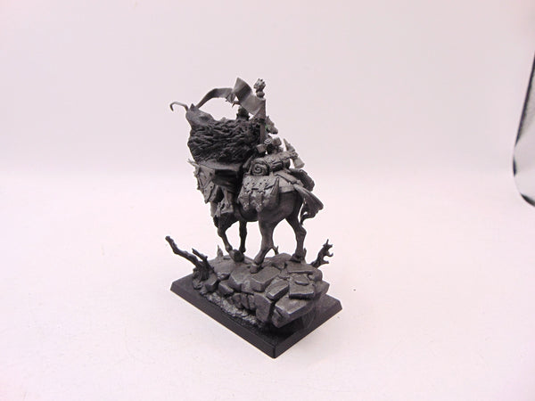Freeguild Cavalier Marshal
