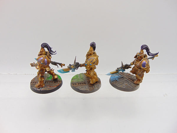 Custodian Guard Squad