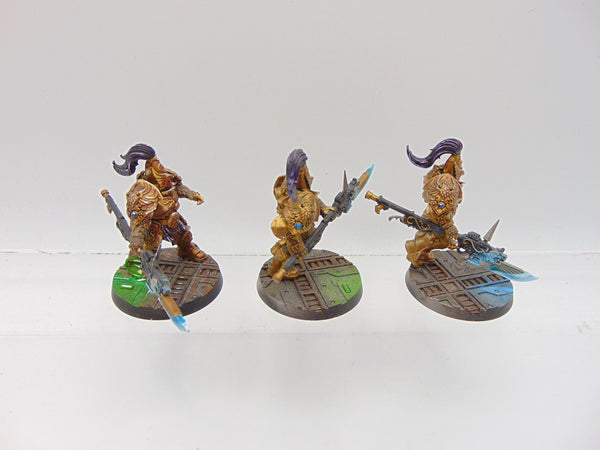 Custodian Guard Squad