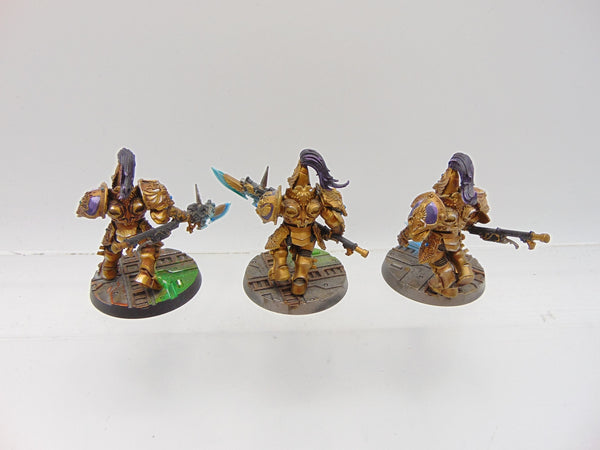 Custodian Guard Squad