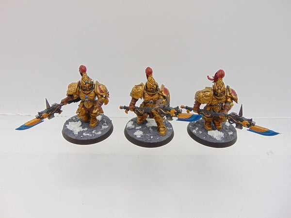 Custodian Guard Squad