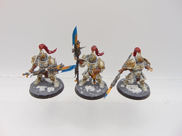 Custodian Guard Squad